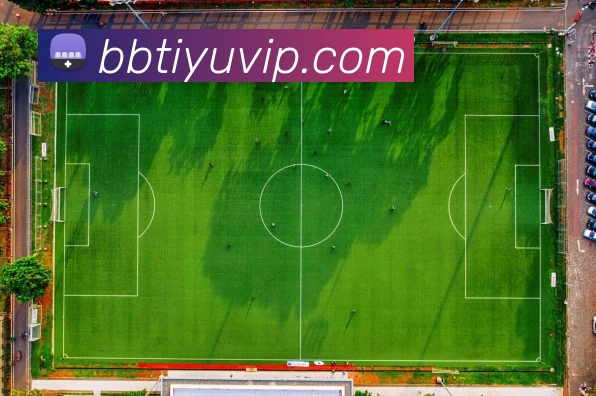 App Interface Preview